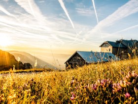 Bergsommer auf der Rax, Wiener Alpen in Niederösterreich, © Niederösterreich Werbung/Robert Herbst