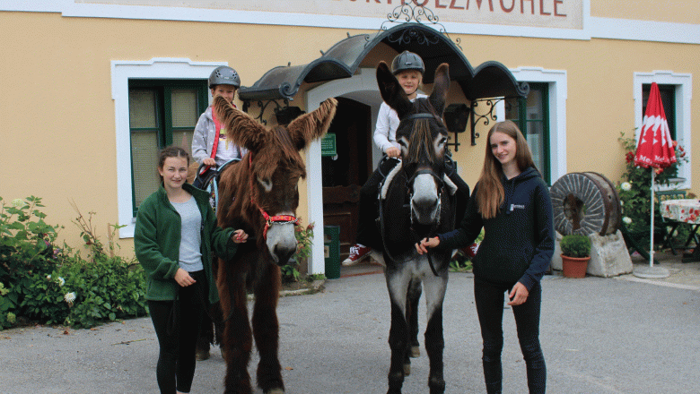 Holzm&uuml;hle Inn & Pony Farm, &copy; Birgit Taxb&ouml;ck