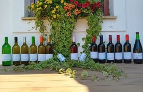 Wine bottles, © Bio Weinbau Schlemmer