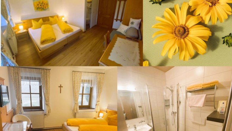 strassbauer_lothspieler_bilchlbirncollage, &copy; Lothspieler