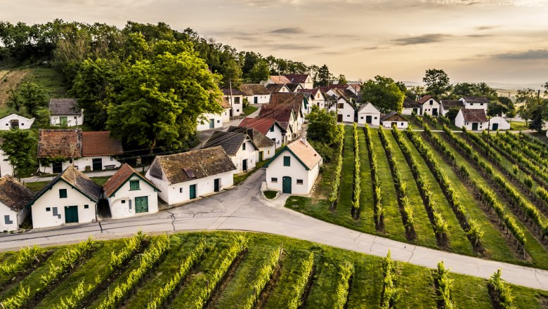 Vinařství se zde pěstuje již po staletí., © Niederösterreich Werbung/Robert Herbst