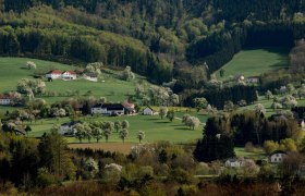 Photo point Kematen, © schwarz-koenig.at