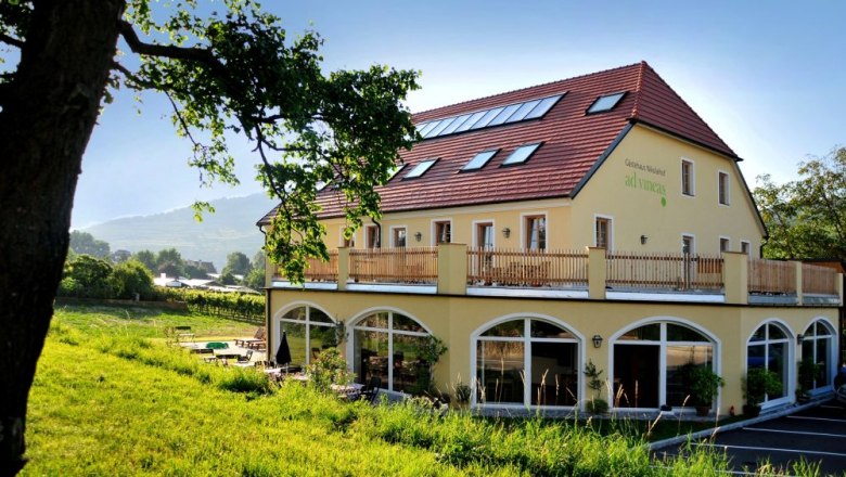 ad vineas Nikolaihof, © ad vineas Nikolaihof ad vineas Nikolaihof, © ad vineas Nikolaihof