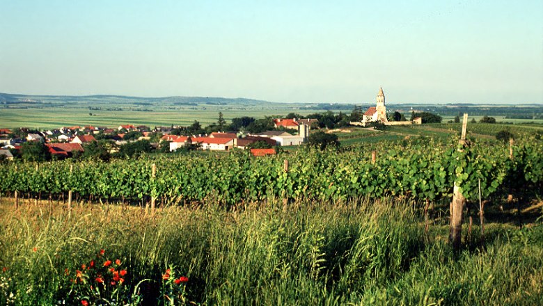 hoeflein_vom_hohen_weg_aus.jpg, © Gemeinde Höflein