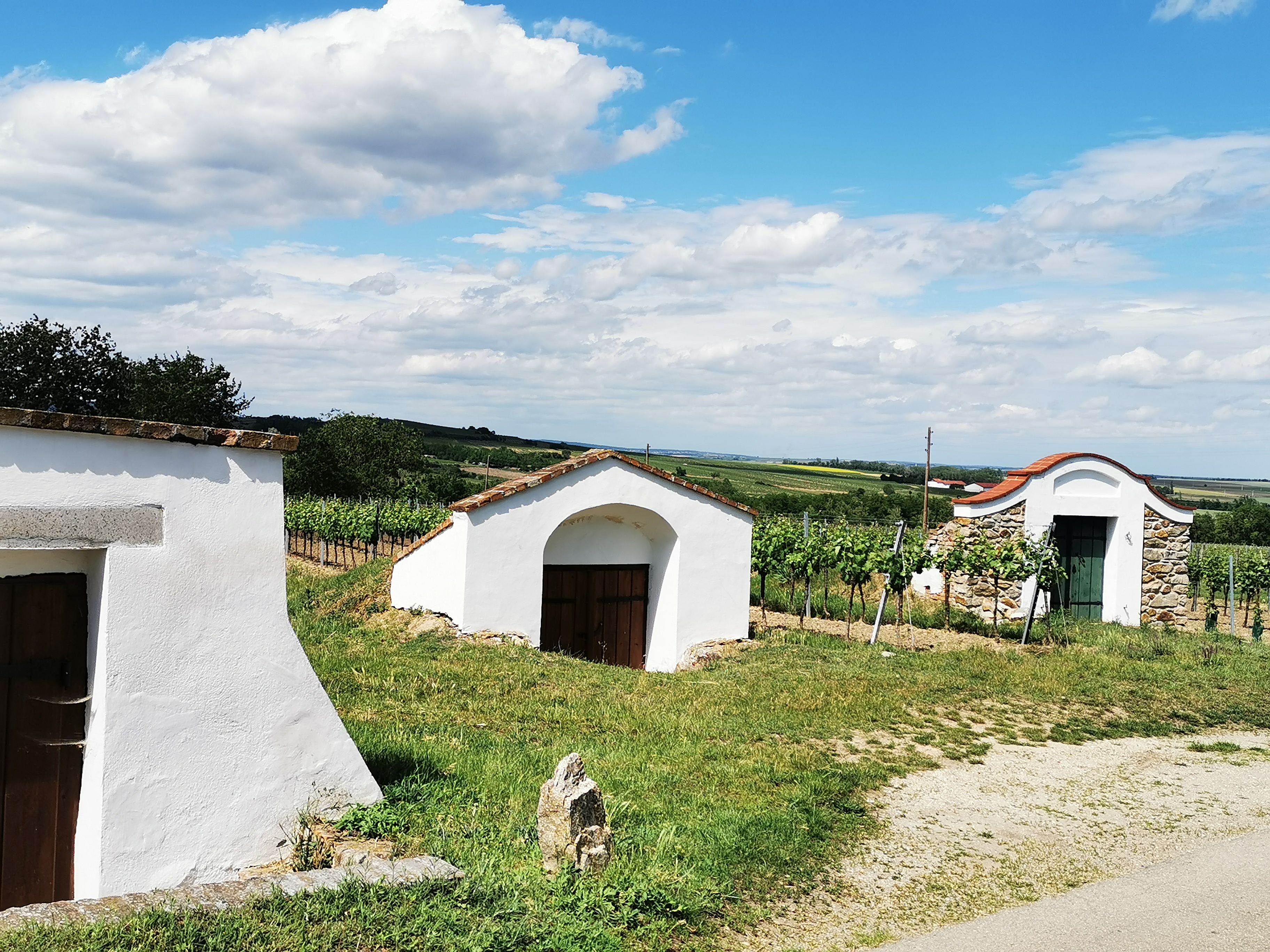 Vinný sklep v Zellerndorfu, obklopený vinicemi a modrou oblohou.