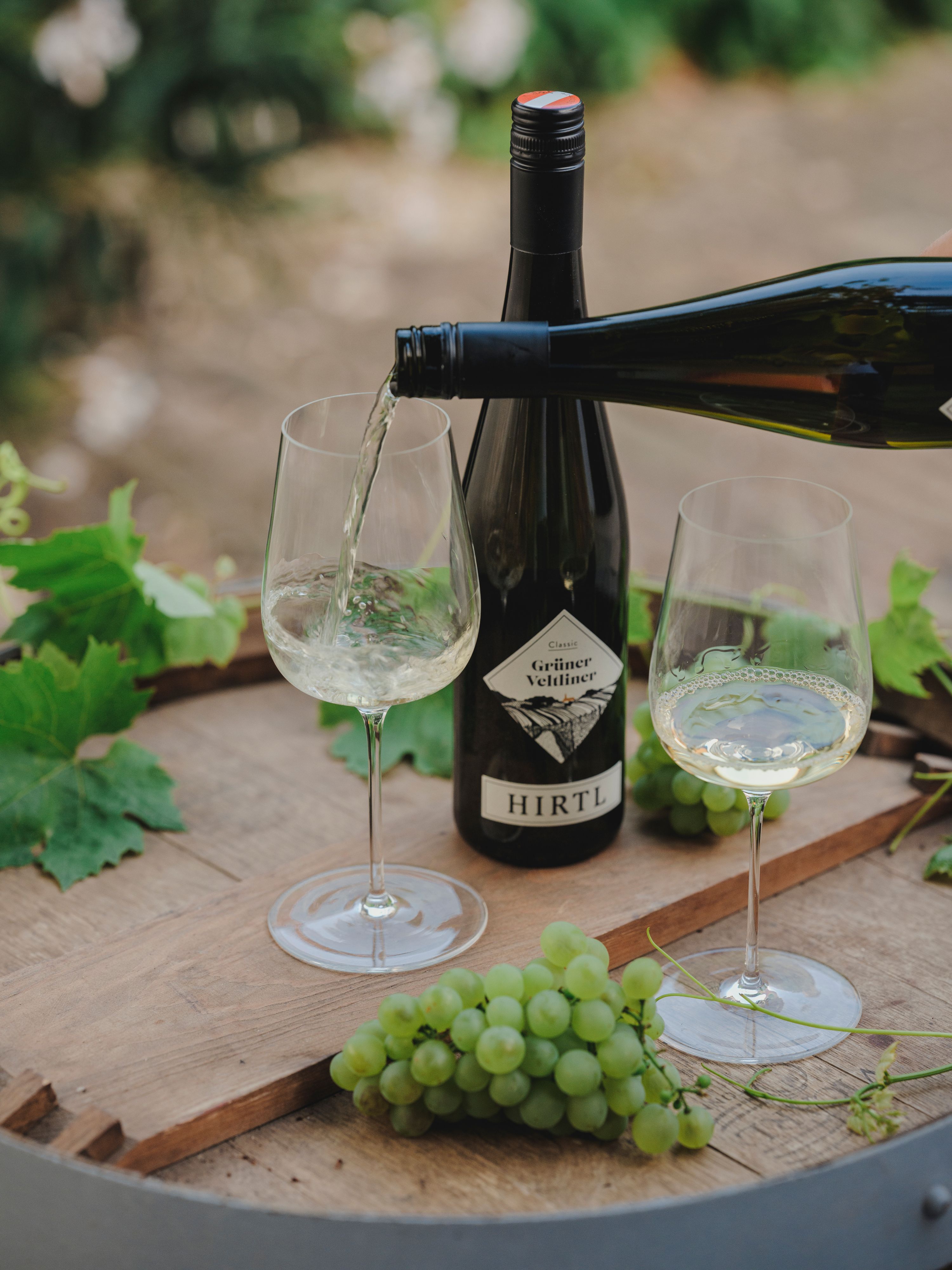 Bílé víno je nalito do sklenice, vedle ní láhev veltlínského zeleného vína od Hirtla a zelené hrozny na dřevěném stole.