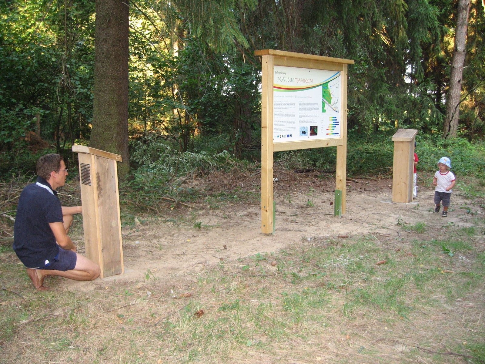 Cesta pod borovicemi