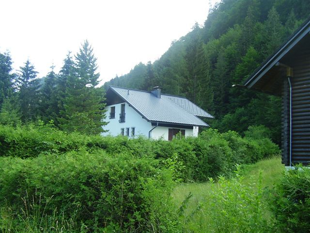 Bílý dům s šedou střechou, obklopený zelenými keři a stromy, ve venkovské lesní krajině.