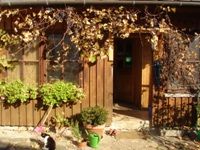 Vchod do rustikálního dřevěného domku s rostlinami a kočkou.