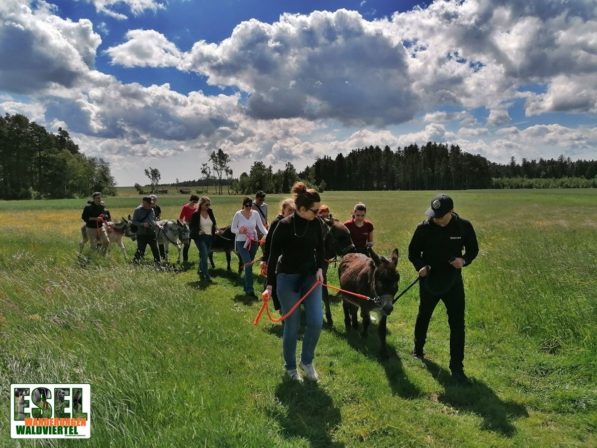 Trekking na oslu