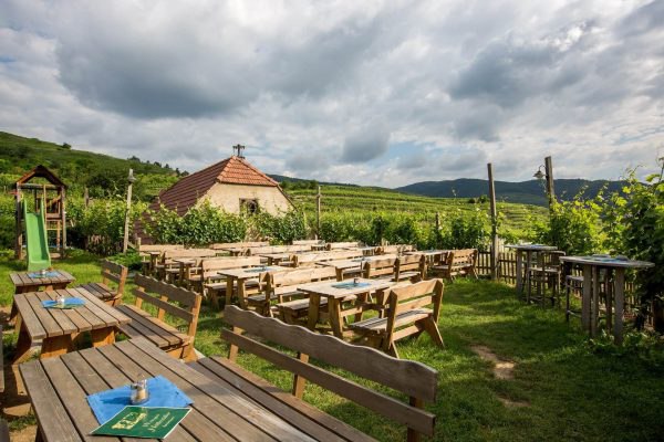 Weingut Höllmüller Garten mit Heurigenbetrieb, © Familie Höllmüller