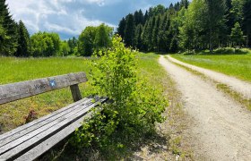 Stezka u Weitry, &copy; Dr. Markus Peham