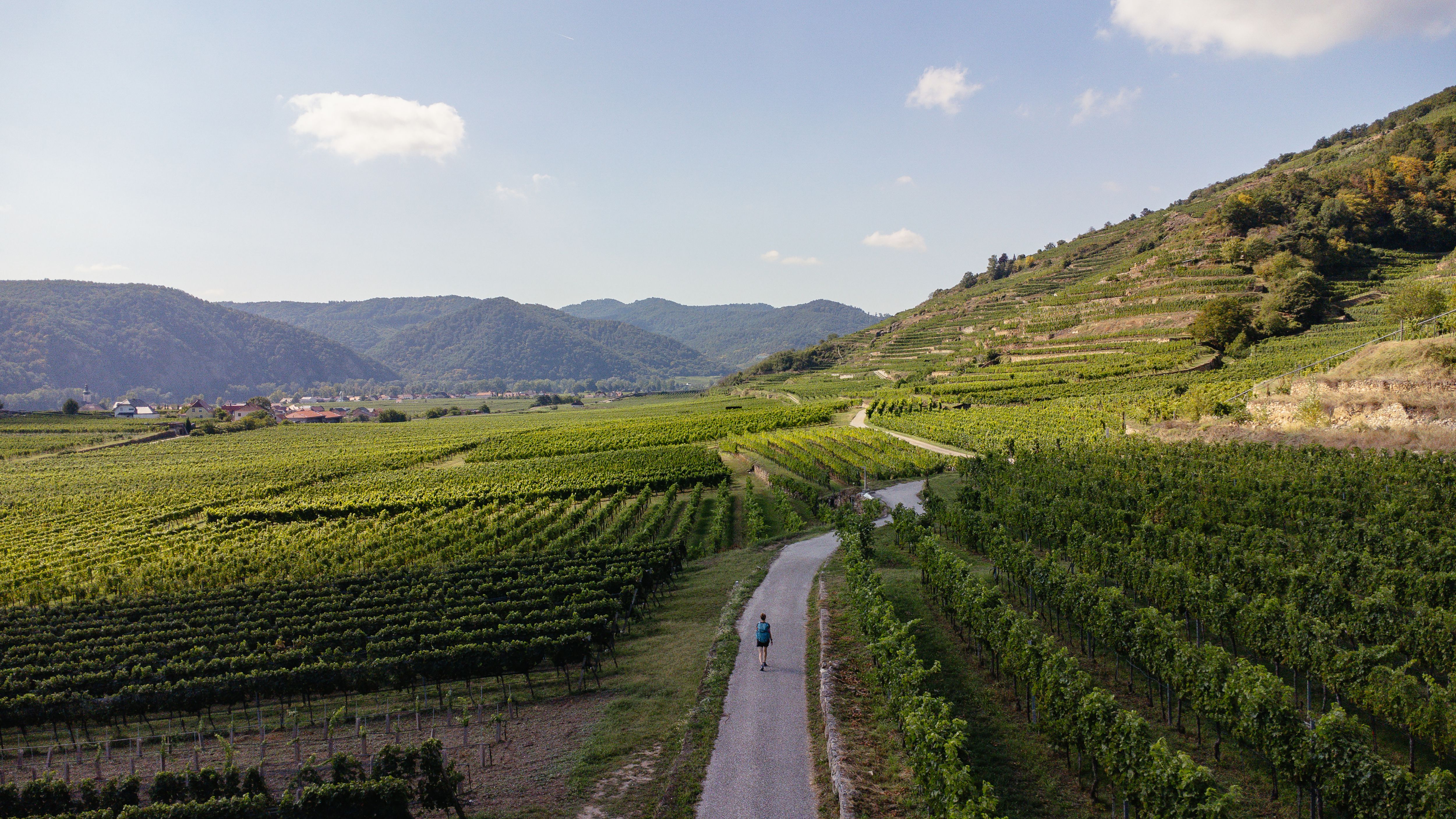 Die sanften Hügel der Weinberge erstrecken sich bis zum Horizont und laden zu einem unvergesslichen Spaziergang ein. Die frische Luft und der Duft von reifen Trauben schaffen eine harmonische Atmosphäre, die zum Verweilen einlädt. Hier, inmitten der Natur, wird jeder Schritt zu einem Erlebnis für die Sinne.