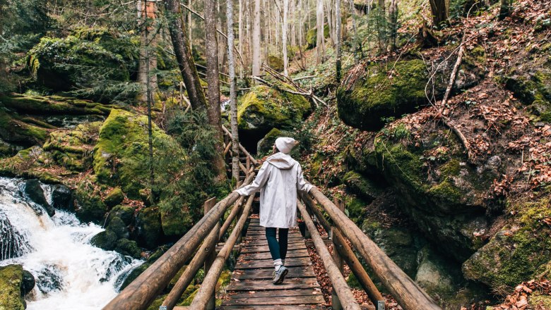 Ysper Gorge, &copy; Waldviertel Tourismus, sommertage.com