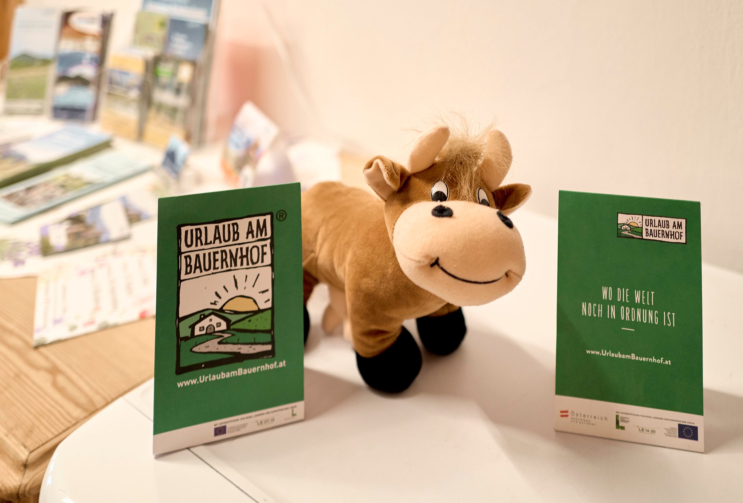 Plyšová hračka ve tvaru krávy stojí mezi dvěma letáky s nápisem "Farm holiday".