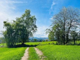 Weitra, © Dr. Markus Peham