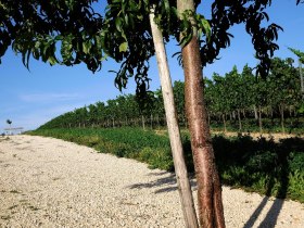 Mistelbach, &copy; Weinviertel Tourismus / Mandl