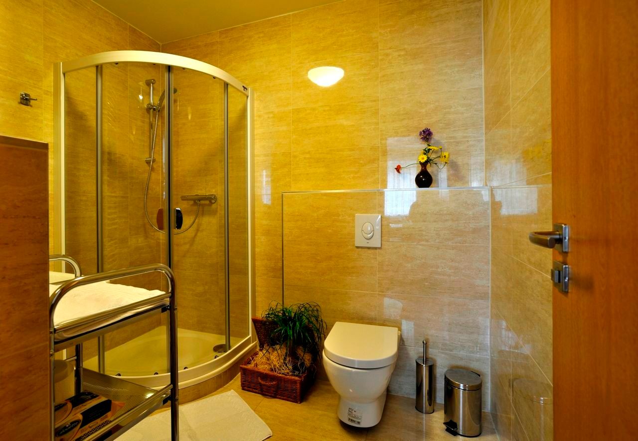 Moderní koupelna se sprchou, WC a rostlinami.
