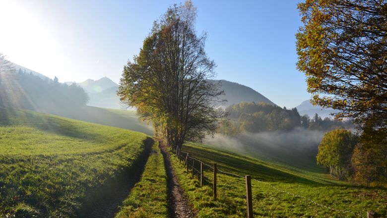 Turistická stezka vede zelenou krajinou se stromy a horami v pozadí, kterou osvětlují sluneční paprsky.