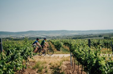 Iron Curtain Trail, Haugsdorf, © Weinviertel Tourismus/Gollner