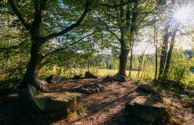 Krumbach stone circle, © Wiener Alpen/Roman Königshofer Photography