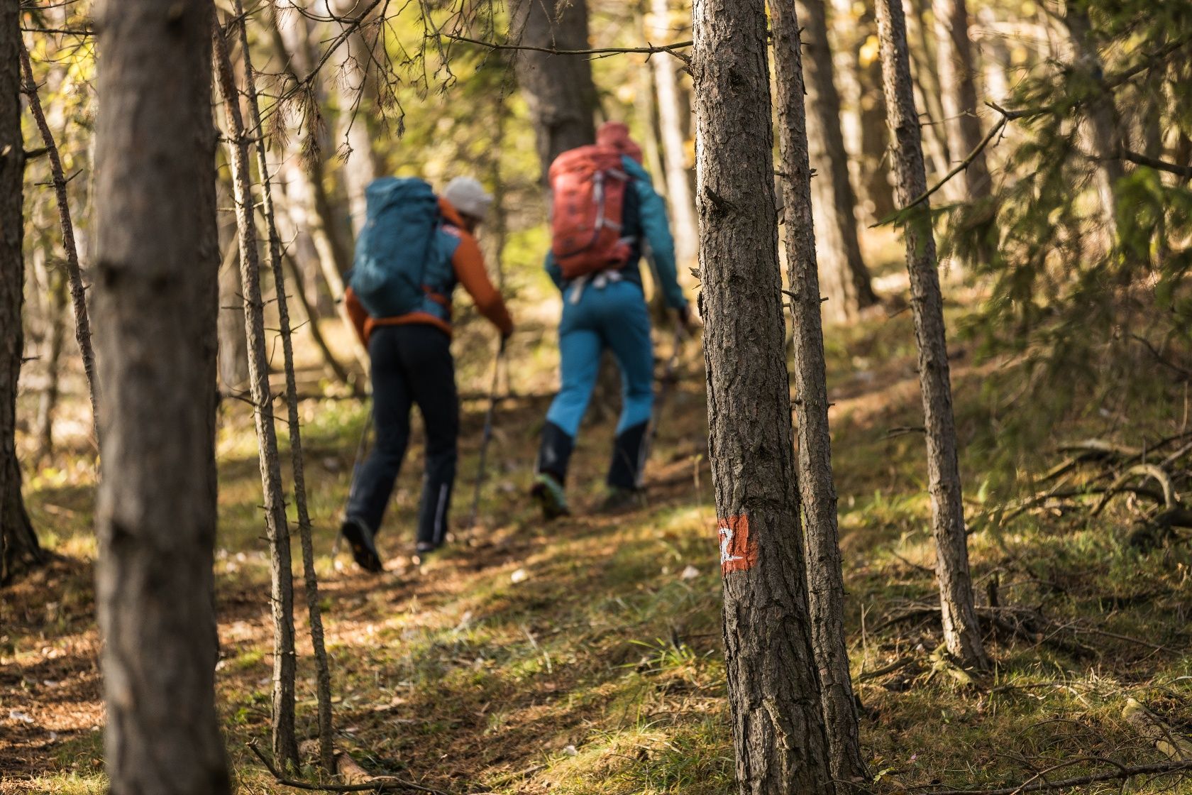 Pěší turistika na Weitwanderwegen Alpannonia