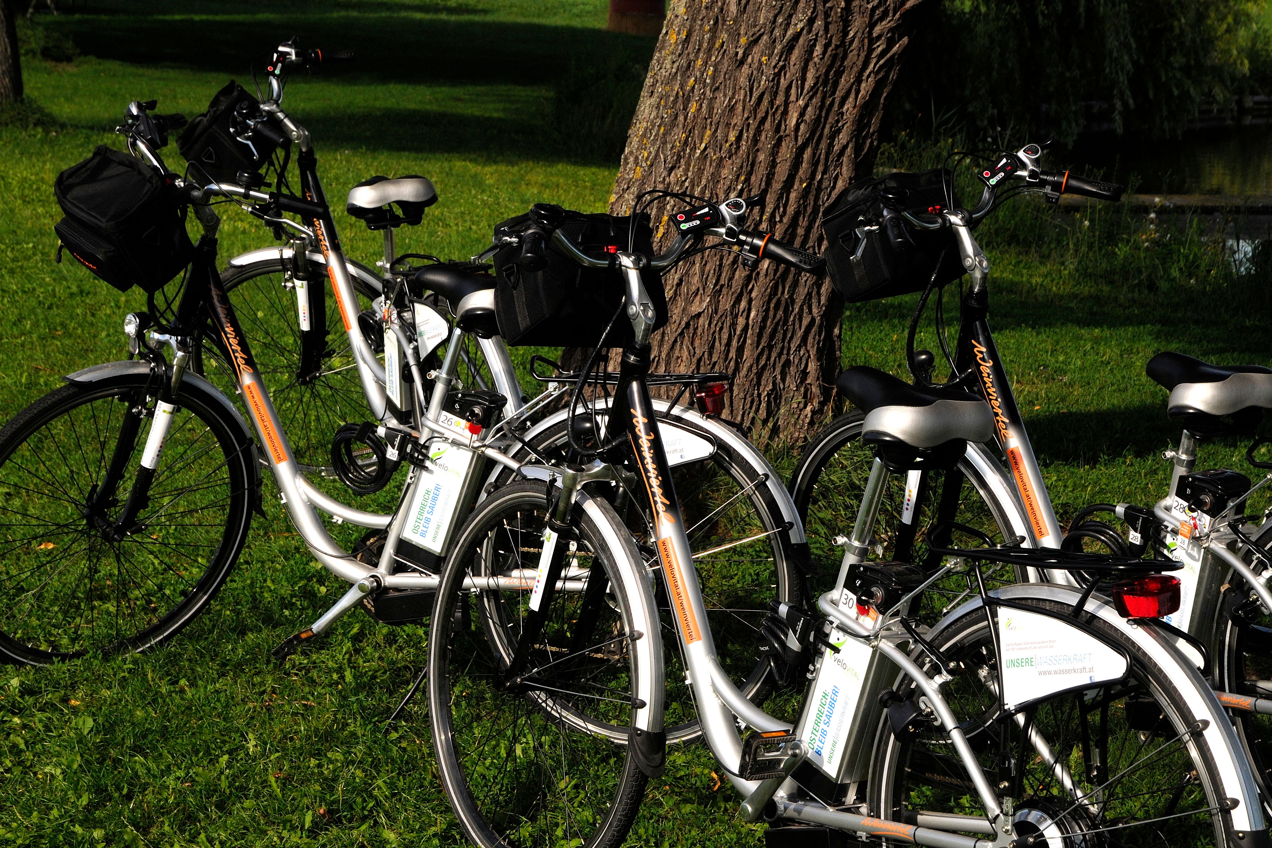 Na louce před stromem je zaparkováno několik elektrokol.