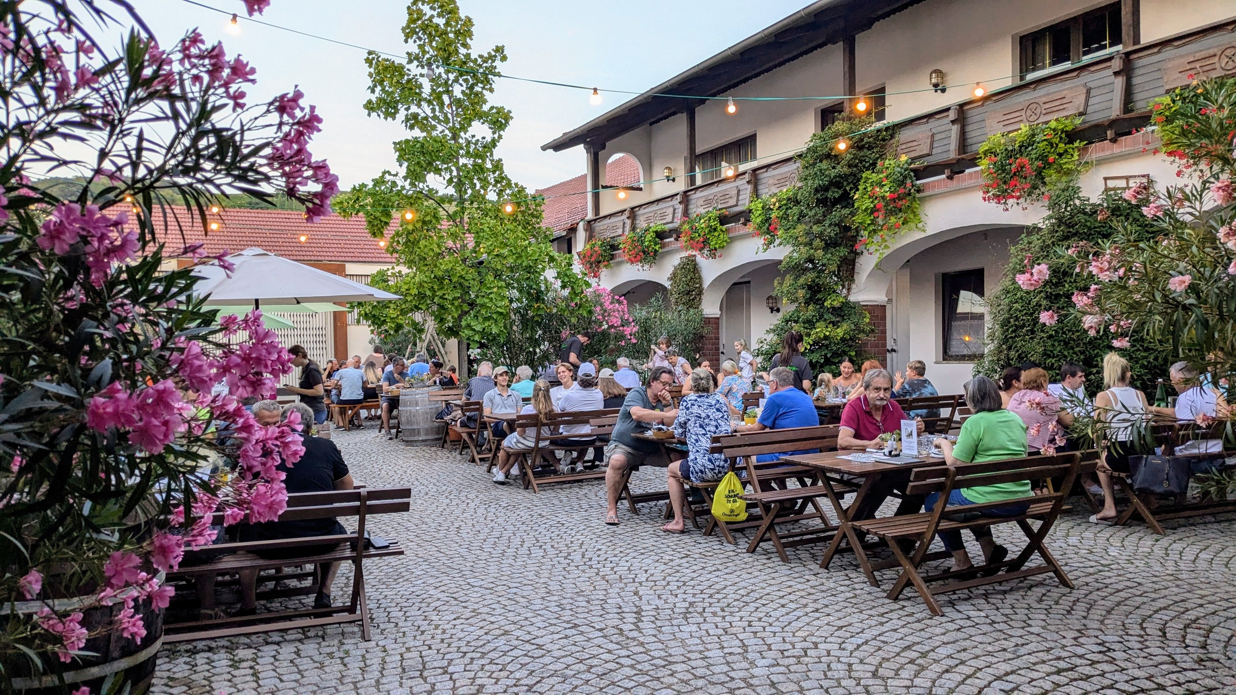Útulná zahrada pro hosty s dřevěnými stoly a lavicemi, obklopená kvetoucími rostlinami a pohádkovými světly. Lidé zde mohou posedět a vychutnat si atmosféru.