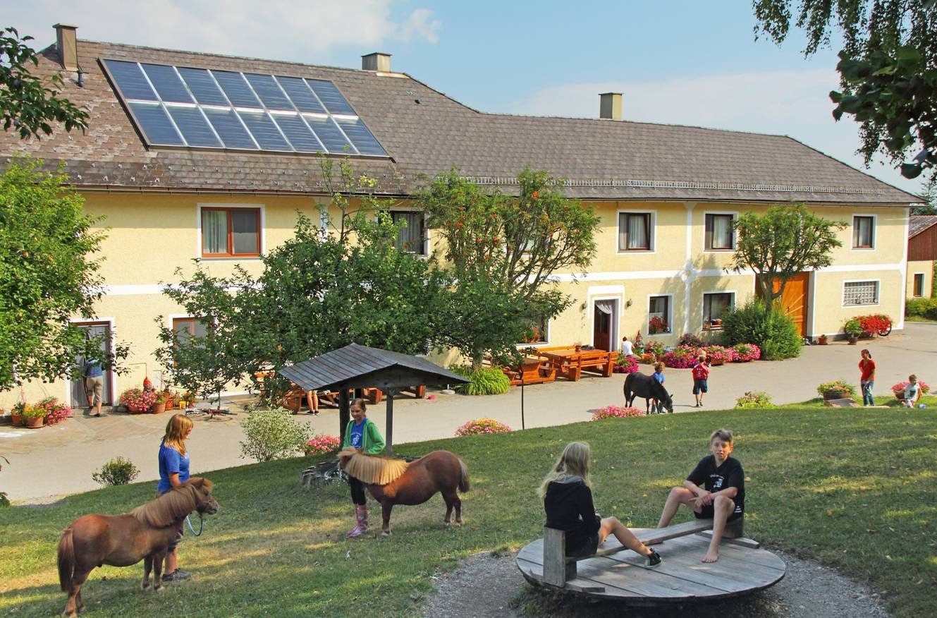 Děti hrající si na farmě s poníky v popředí.