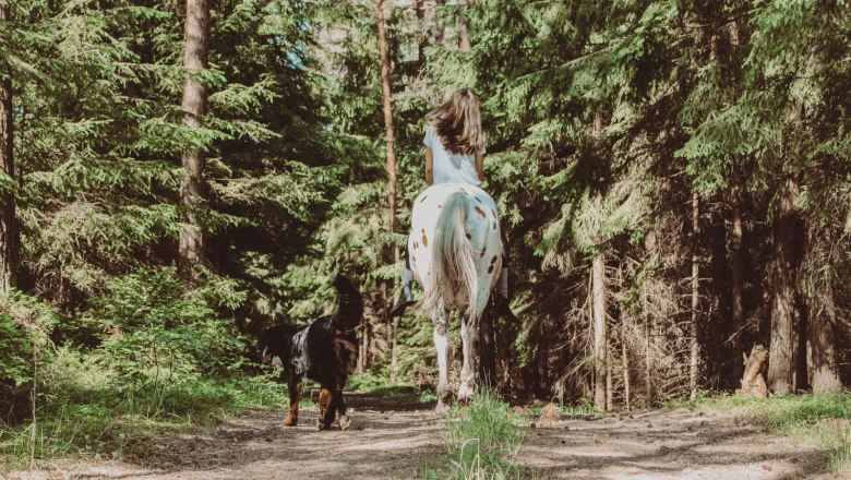 forest_1, &copy; Biohof Pascher