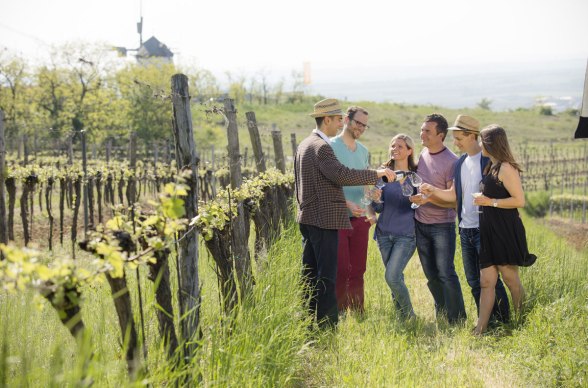 Zážitková cesta za akcemi Weinviertelu, © Weinviertel Tourismus/Astrid Bartl