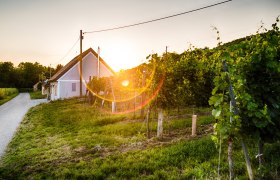 Sklepn&iacute; uličky Feuersbrunn, vinice a sklepy při z&aacute;padu slunce