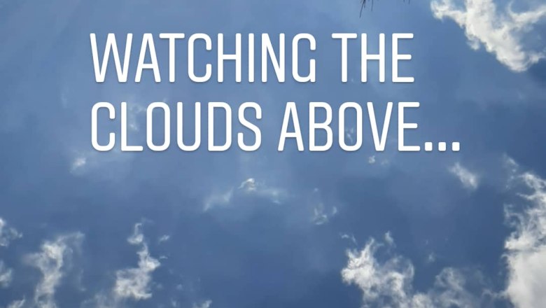 Lying in the grass, © Scheibenreif Karin