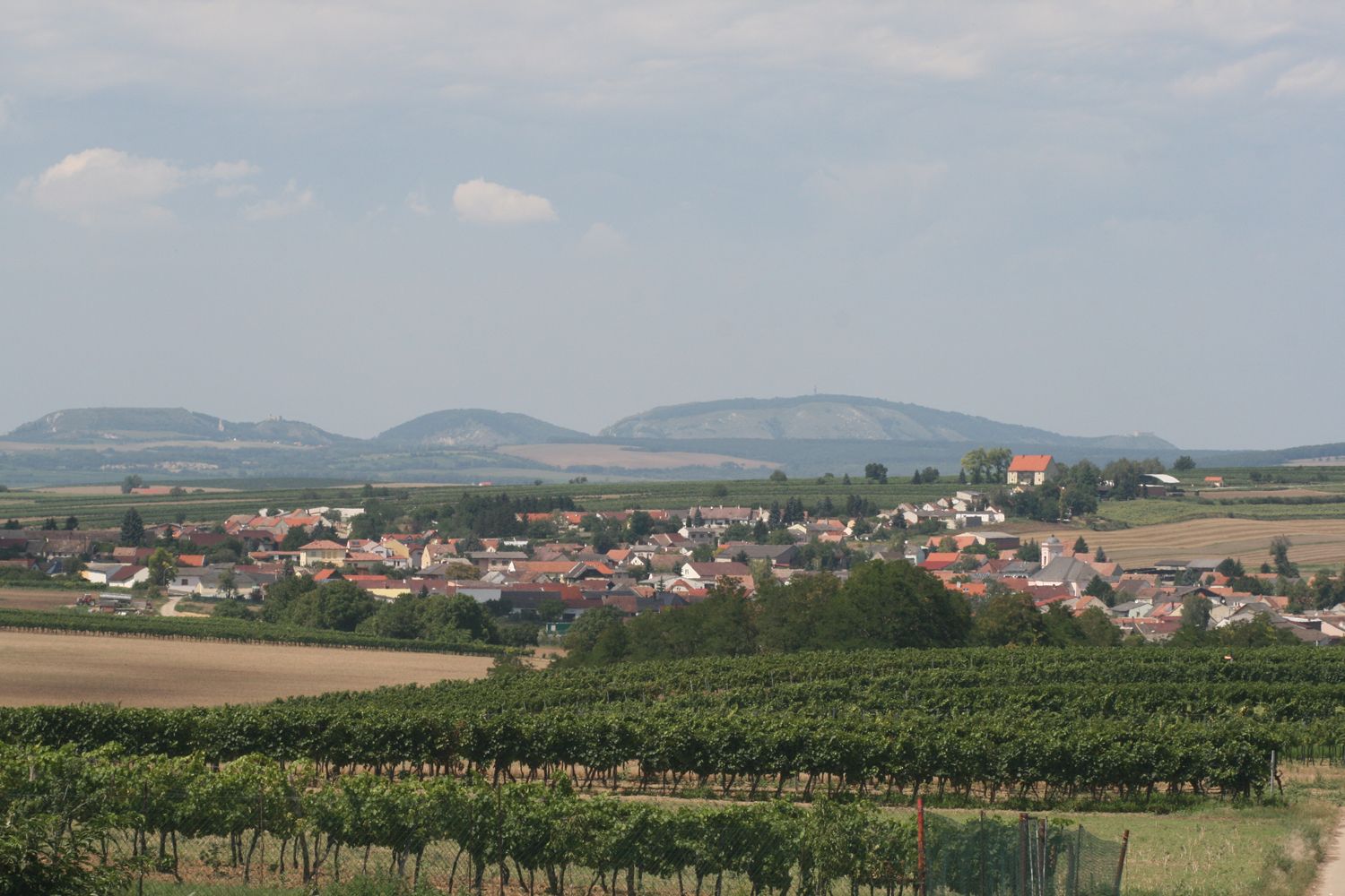 Krajina s vesnicí, vinicemi a kopci v pozadí.