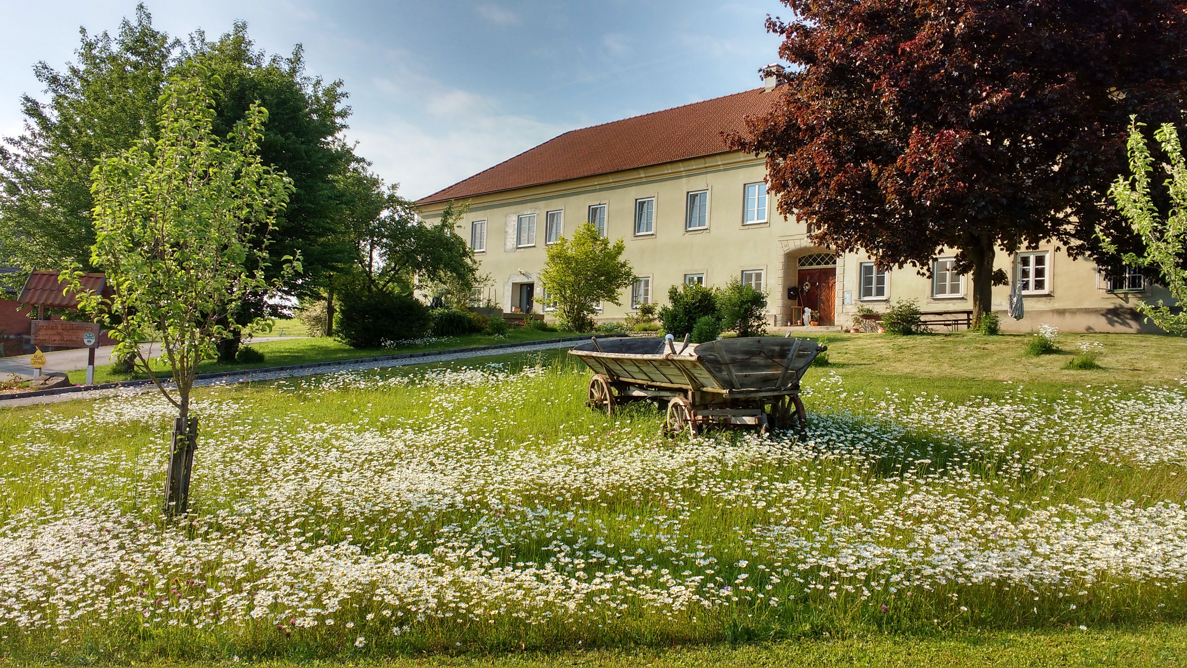 Mayr-Eichberg