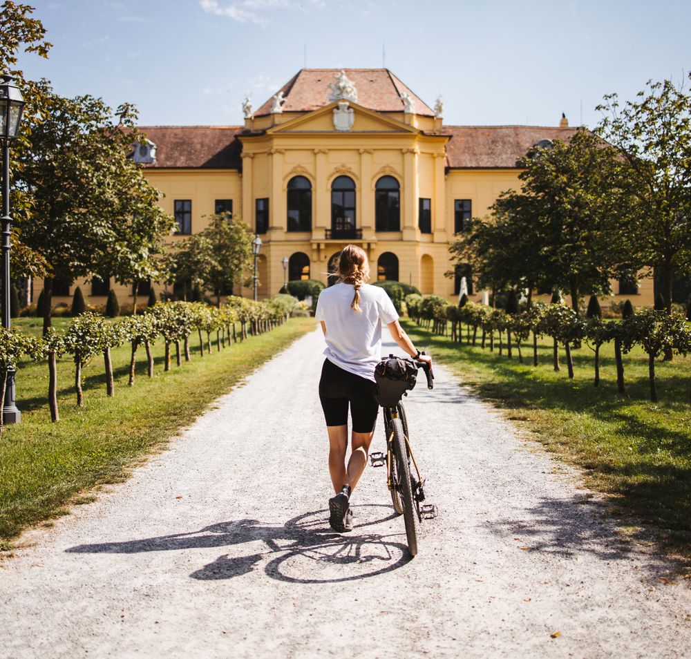 Ein sonniger Tag lädt zu einer entspannenden Radtour ein, während die majestätische Kulisse des Schlosses Eckartsau im Hintergrund erstrahlt. Die sanften Hügel und die üppigen Weinreben entlang des Weges schaffen eine malerische Atmosphäre, die zum Verweilen einlädt.