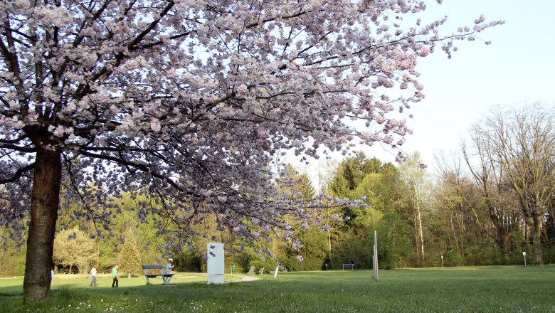 Neunkirchen City Park, © Stadtgemeinde Neunkirchen