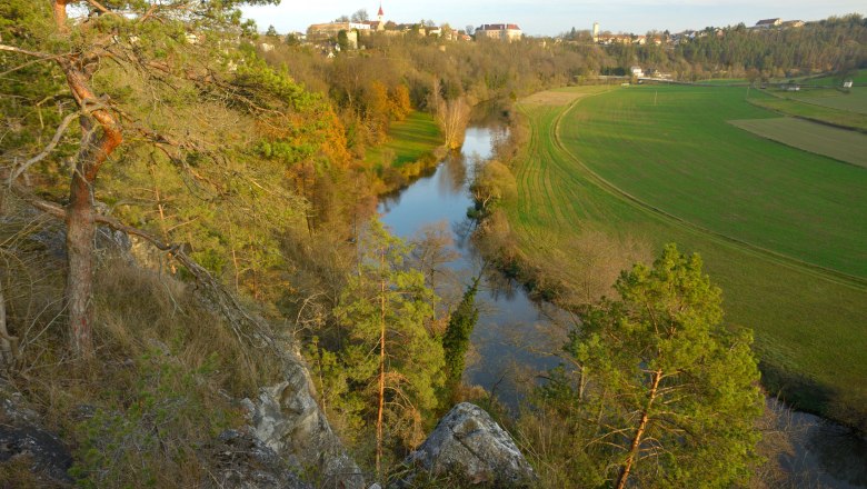 Natural forest near Drosendorf, © Matthias Schickhofer
