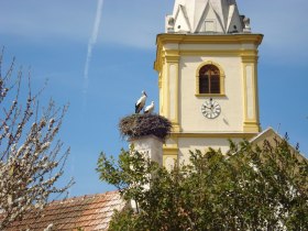 Marienweg Etappe Kirchschlag - Kirchberg a. Wechsel, © Wiener Alpen in Niederösterreich