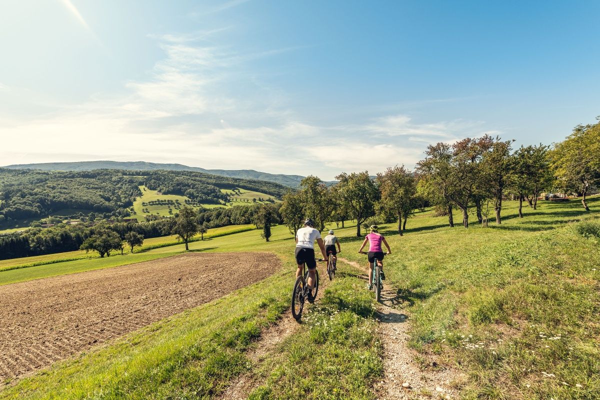 MTB Vídeňský les