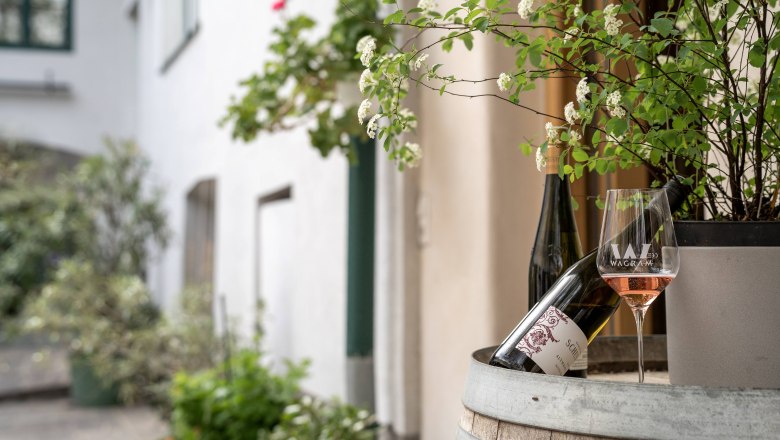 Vnitřn&iacute; n&aacute;dvoř&iacute; vinařstv&iacute; Schuster