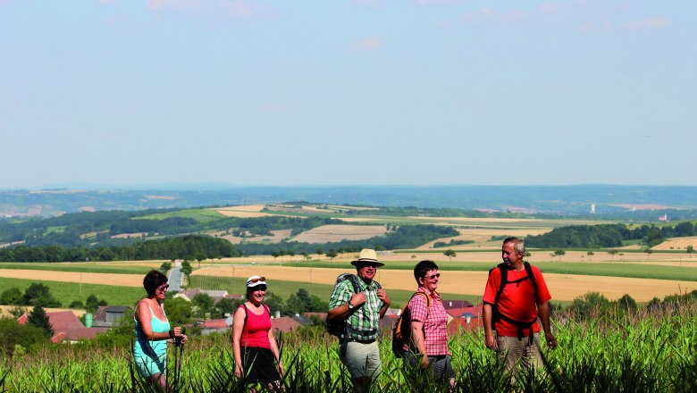 Hikers on the road "Auf da Hoad", © Stadtgemeinde Maissau