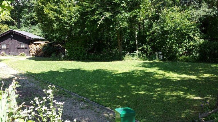 Zelená louka se stromy a dřevěnou chatou v pozadí.