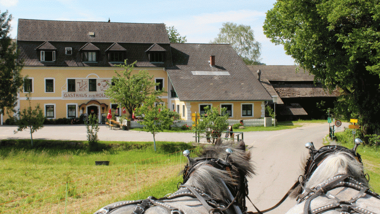 Holzm&uuml;hle Inn & Pony Farm, &copy; Birgit Taxb&ouml;ck
