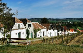 Small cellar drift in Haugsdorf, © Weinstraße Weinviertel