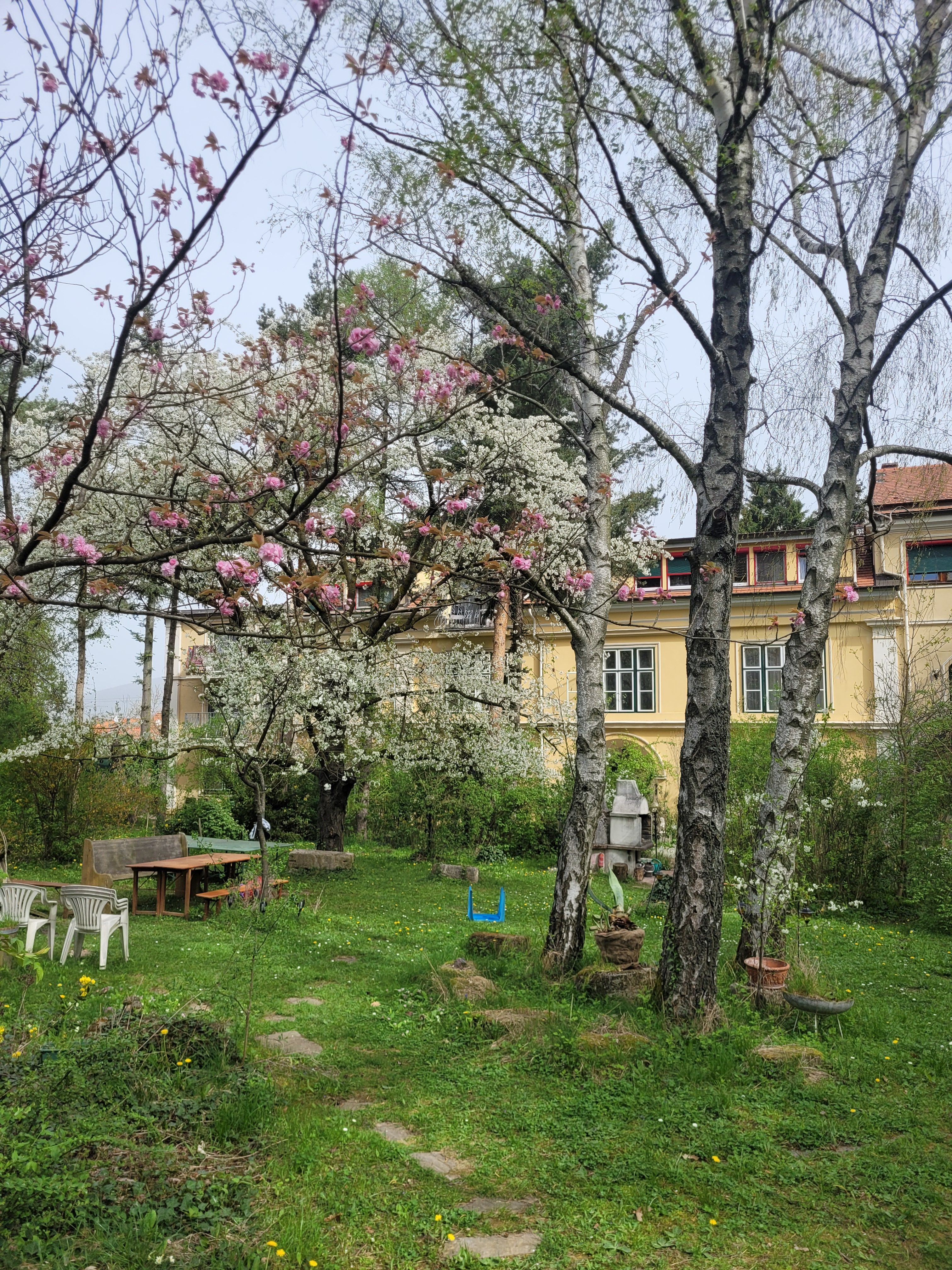 Villa Pannonica Wolfsthal, zahrada se stromy
