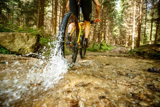 Kdo se napije, jízdu si užije!, © Waldviertel Tourismus/Erwin Haiden