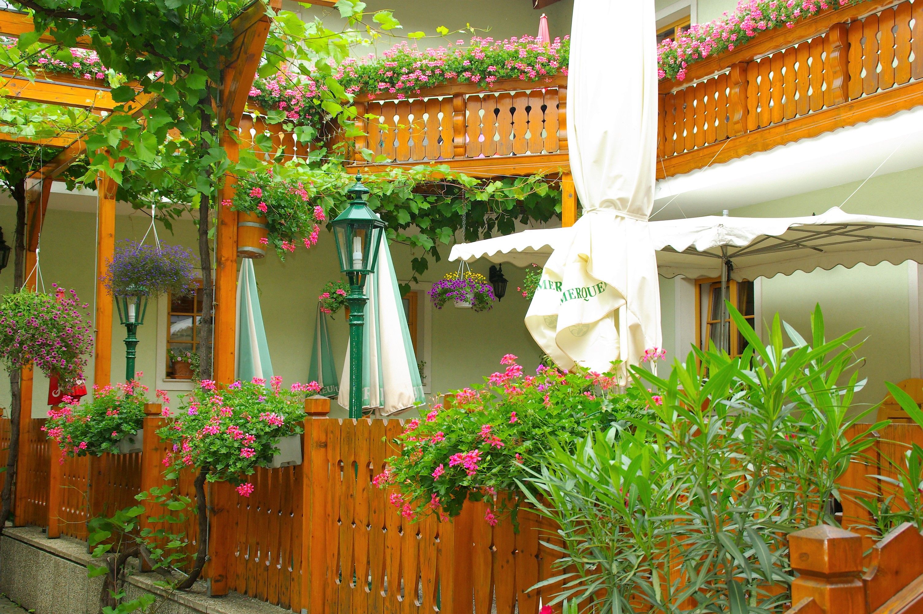 Zahrada pro hosty Weingut Niegl