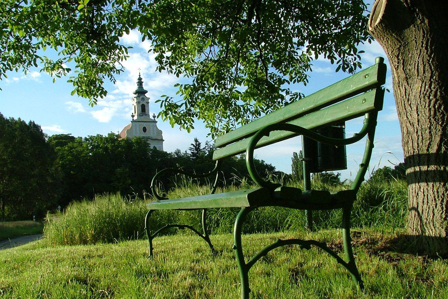 Zelená lavička pod stromem s výhledem na kostel v pozadí.