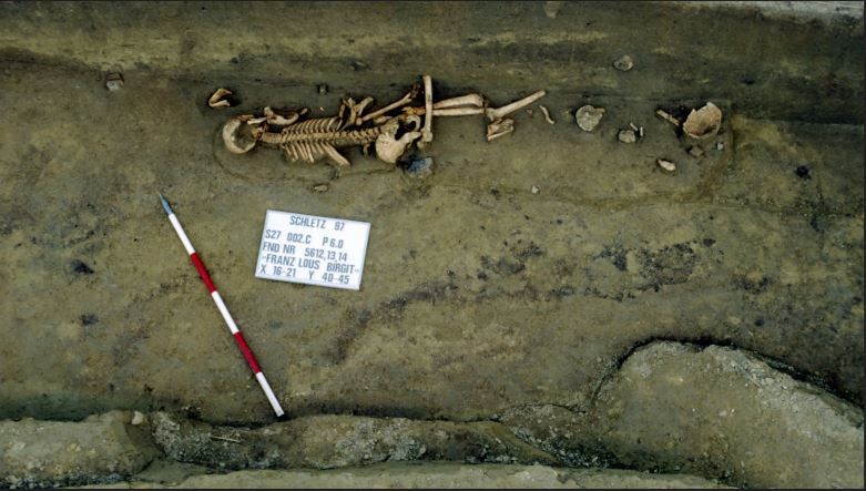 Archeologické vykopávky s kostrou a měřítkem.
